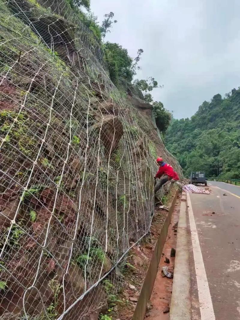 荷泽牡丹区边坡绿化防护